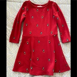 Long sleeve Dress, size 5T.